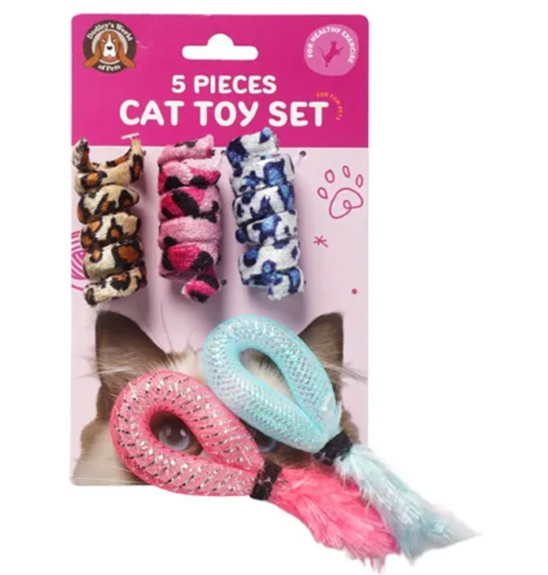 Five Piece Bat Around toys pack