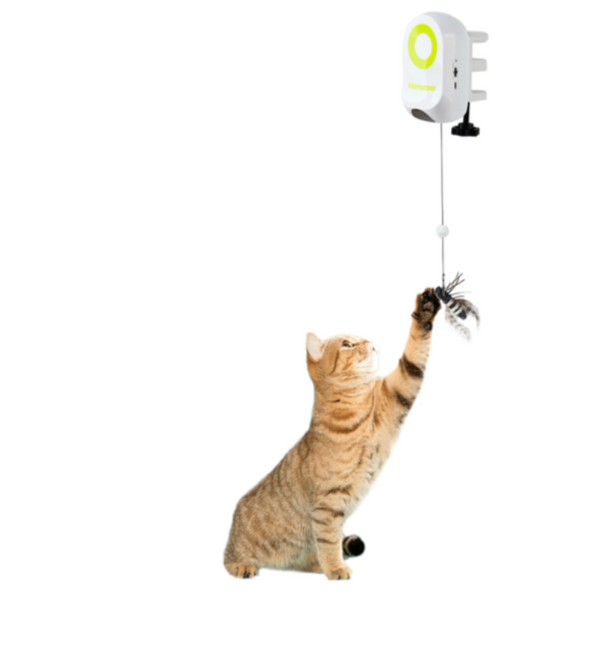 Afp Interactive Jumping Wand