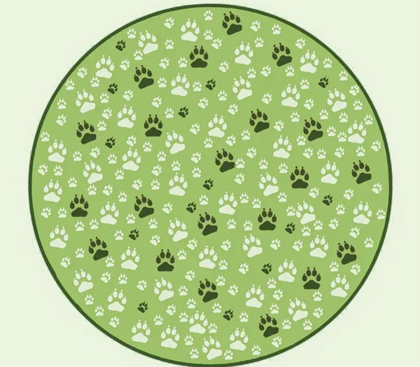Cat Hunting mat