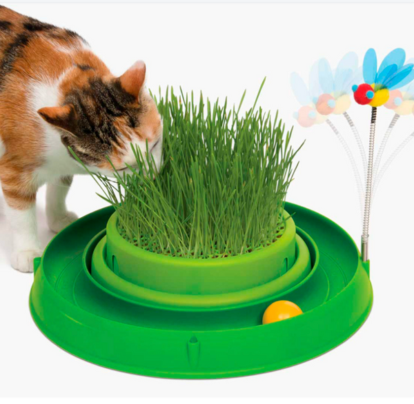 Catit Play 3 in 1 Circuit Ball Toy With Cat Grass Planter And Bouncy Bee Toy For Cats