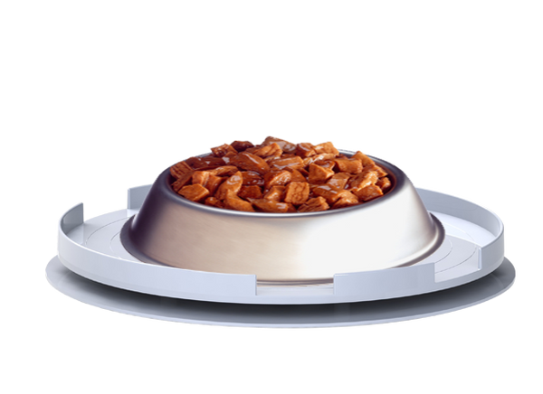 Ant Proof Plate Round