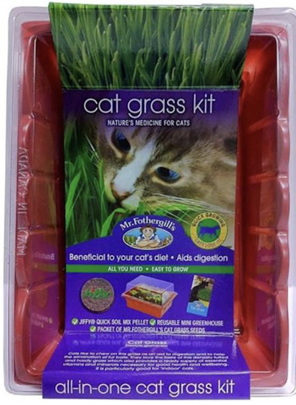 Mr Fothergill's All-in-One Grow Your Own Cat Grass Kit