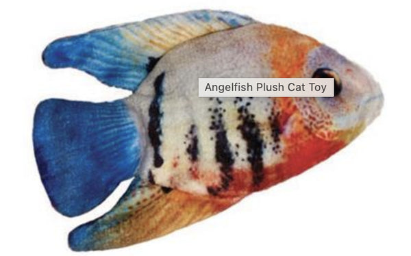 KittyBells Angel Fish