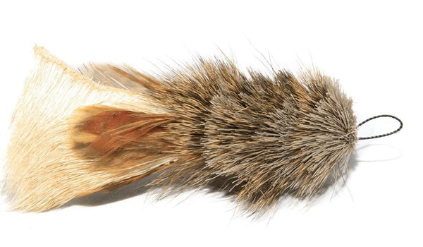 Cat Lures Monster Bug