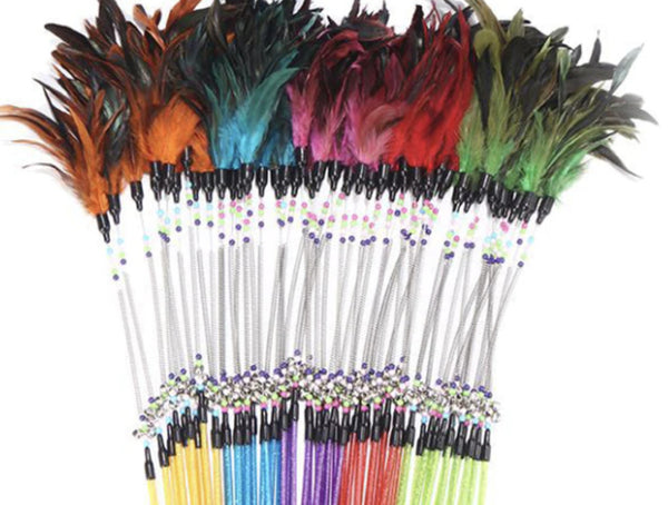 Feather Wand on Springy Pole