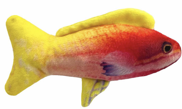 KittyBelles Rainbow Guppy Fish