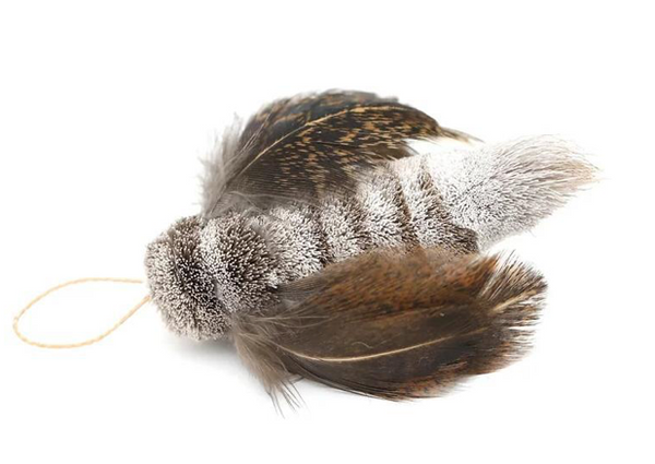 Cat Lures Moth Flyer