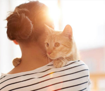 Top 5 Cat Care Mistakes to Avoid