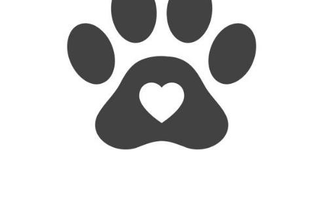 Unique Cat Products: Show Your Pet Some Love