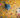 Importance of Interactive Cat Toys: What Cat Owners Need to Know