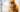 Can You Use Essential Oils for Cat Care?