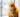 Can You Use Essential Oils for Cat Care?