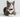 Testing Alt