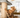 Testing Alt