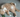 Catnip for Anxious Cats