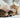 6 Grooming Essentials You Need For Your Cat