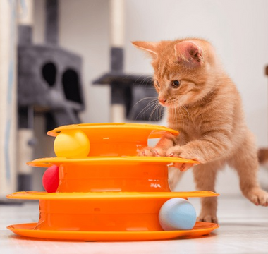 Interactive Cat Balls for cats