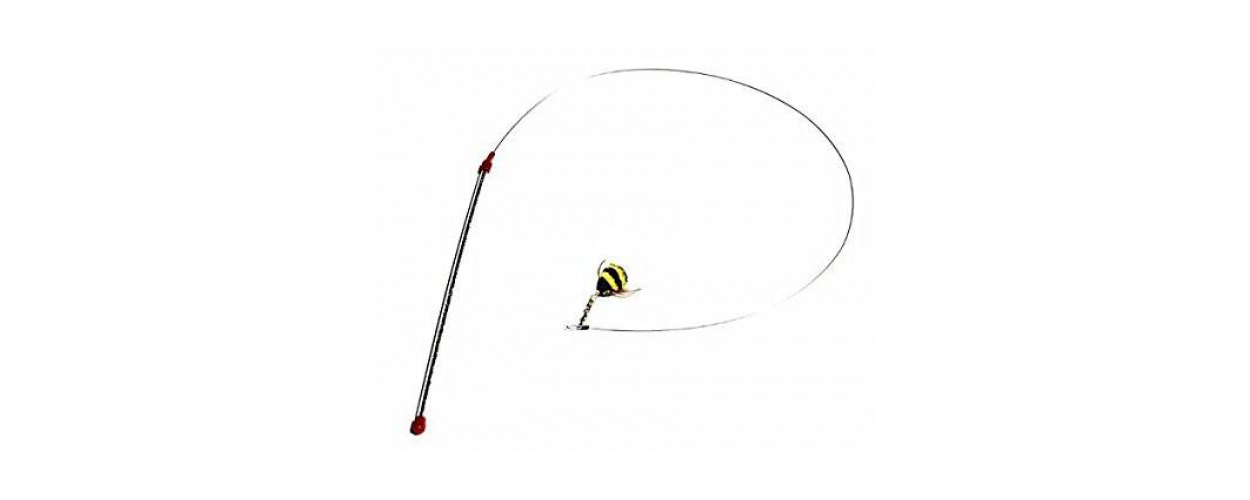 Da Bird Da Bee - New In Store - Catshoponline
