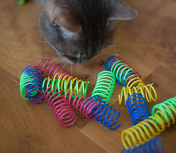 How To Make Spring Toys For My Cats?