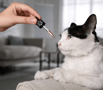 Rescue Remedy for Cats