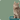 Cat Litter & Trays