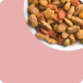 Cat Treats