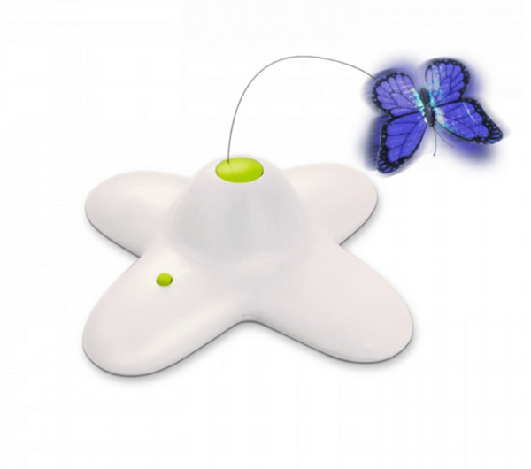 AFP Interactive Flutterbug