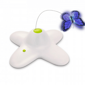 AFP Interactive Flutterbug