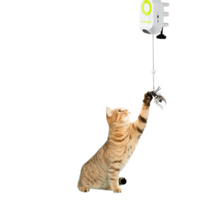 Afp Interactive Jumping Wand