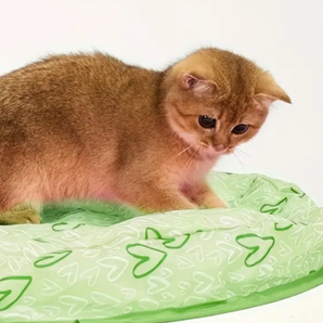 Cat Hunting mat