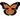 KONG Crackles Flutterz Butterfly Crackle Catnip Toy
