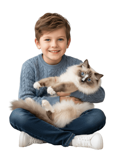 cat stores online