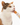 Catit Creamy Cat Treats Atlantic Salmon 4 x 10gm