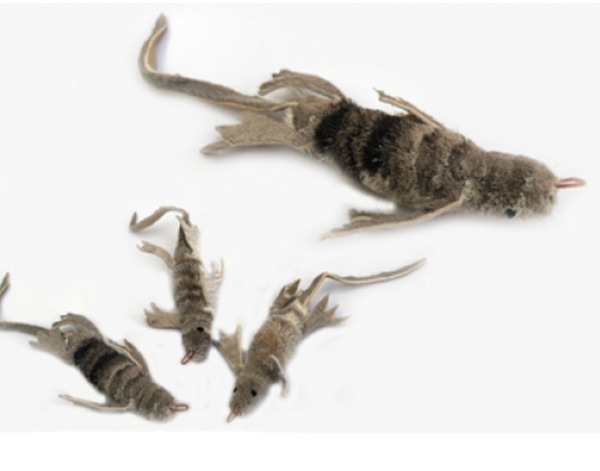 Purrs Lennie Lizard ClipOn prey attachment