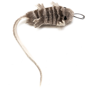 Cat Lures Lizzie the Lizard