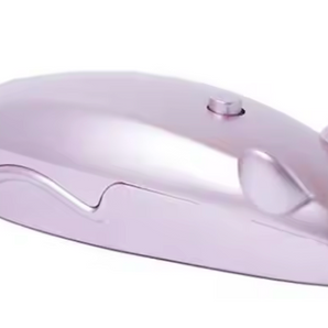 Laser Pointer Mouse