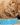 shop cats online