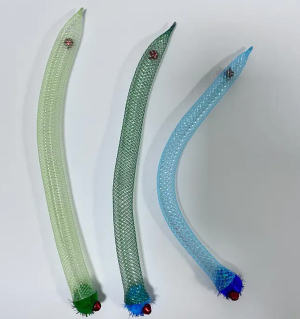 Slinky Bug