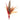 Da Bird Da Wild Thing Wand Attachment