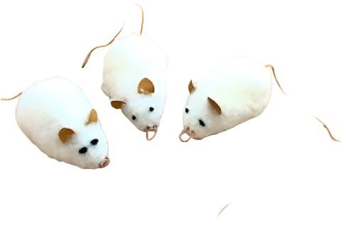Purrs White Mo Mouse Wand Attachment