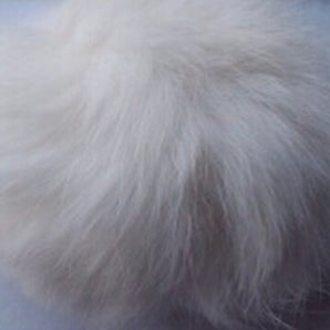 Furball 5cm