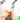 Retractable Wand with Two Bug Attachments