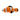 Doggles Sushi Clownfish